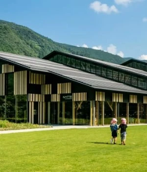 Teikyo Elementary School designed by Kengo Kuma